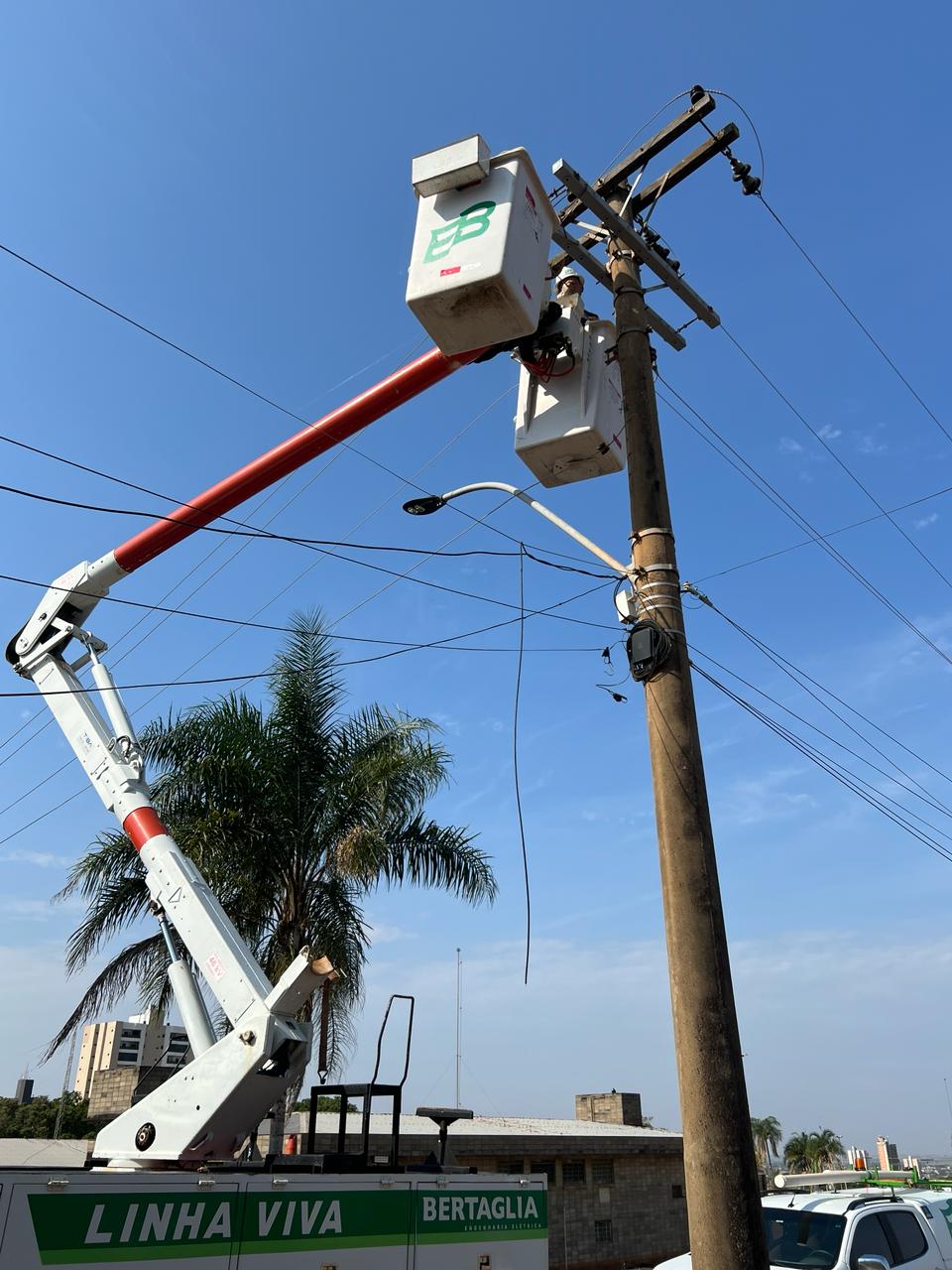 Imagem do WhatsApp de 2024-02-08 à(s) 14.46.17_41276530.jpg